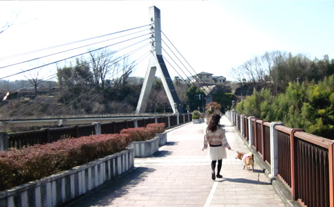 旧秩父橋(あの花の舞台)