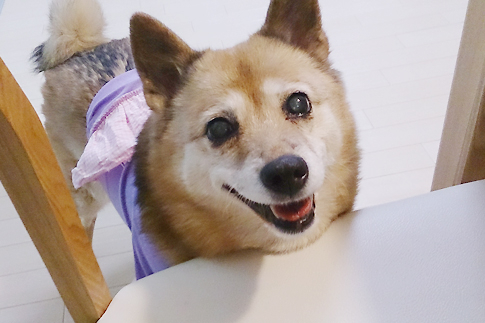 にっこり♪