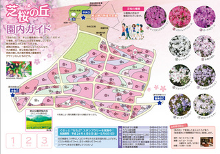 芝桜の丘 園内ガイド